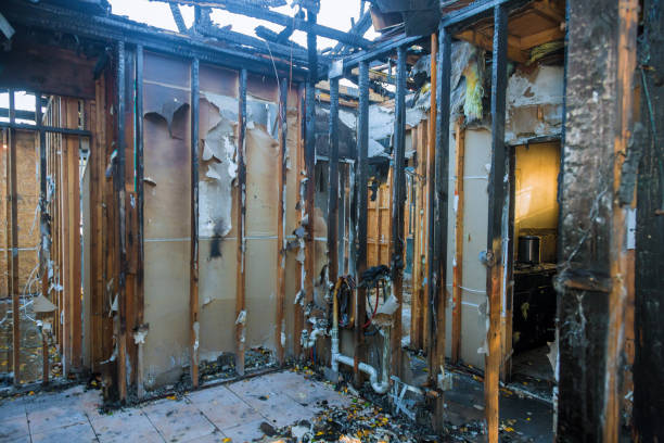 Professional Fire Board Up technician working in Glencoe, FL